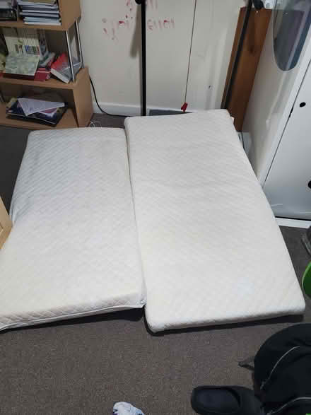 Photo of free 2 cot mattress (HP2 hemel hempstead) #1