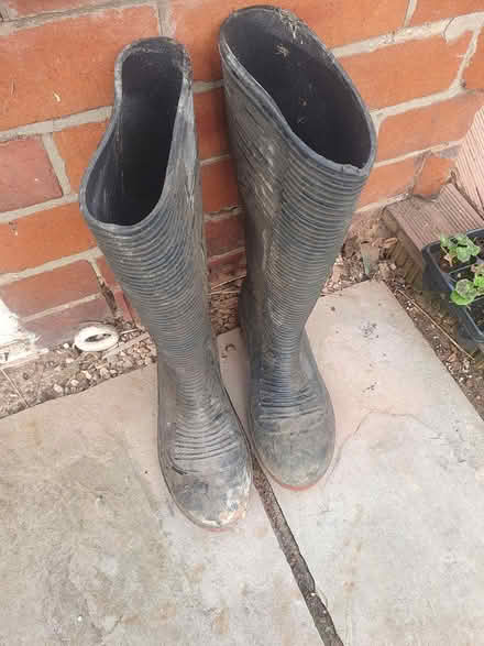 Photo of free Wellies size 42 (Gosforth ne3) #1