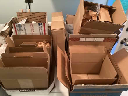 Photo of free Padded envelopes & small cartons (Old/Little “I” sectionAberdeen) #3