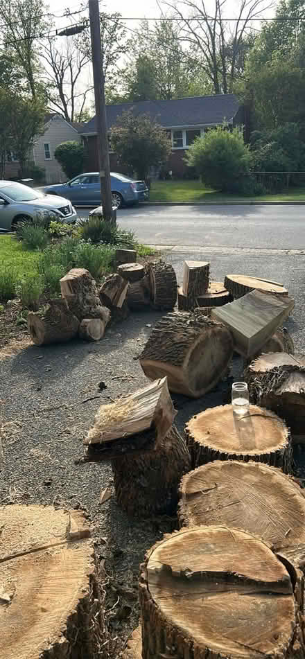 Photo of free firewood (Berwyn Heights) #1