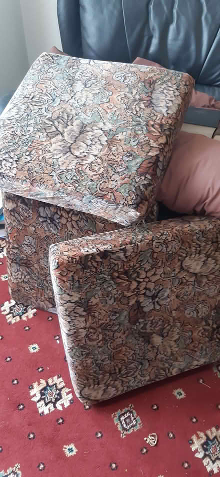 Photo of free Large cushions (Castle MK40) #1