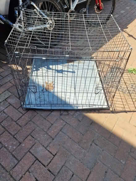 Photo of free Large dog crate (Cranbrook, Exeter EX5) #1