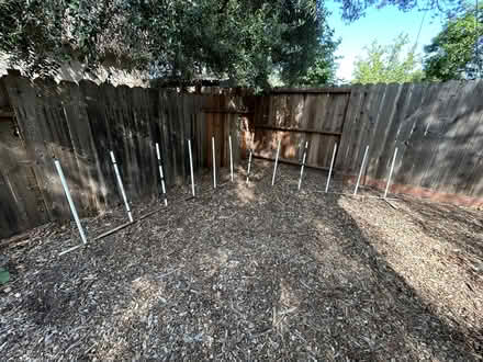 Photo of free Dog Weave Pole Training (Concord (7 minutes from 680)) #1