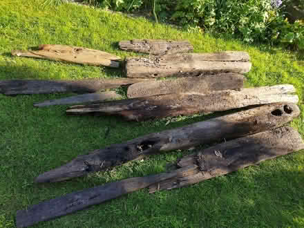 Photo of free Driftwood (Old Town TN40) #2