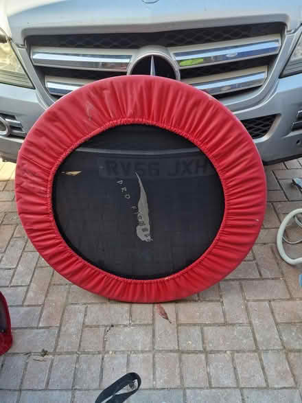 Photo of free Fitness bouncer / trampoline (Cranbrook, Exeter EX5) #1