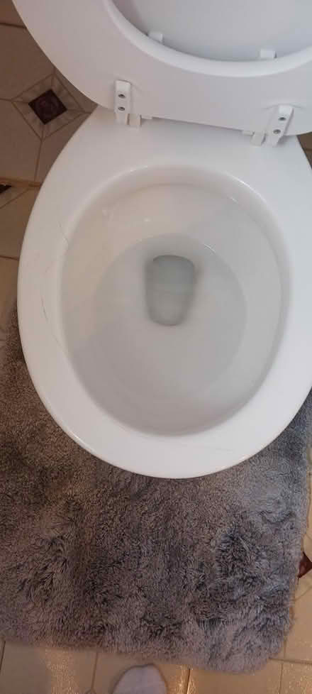 Photo of free toilet bowl tank not included (Mi.& Middlebelt , Inkster Mich) #2