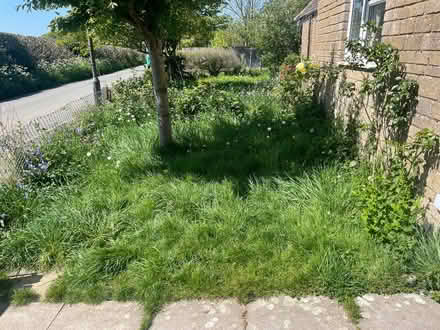 Photo of Lawnmower (Woodmancote GL7) #4
