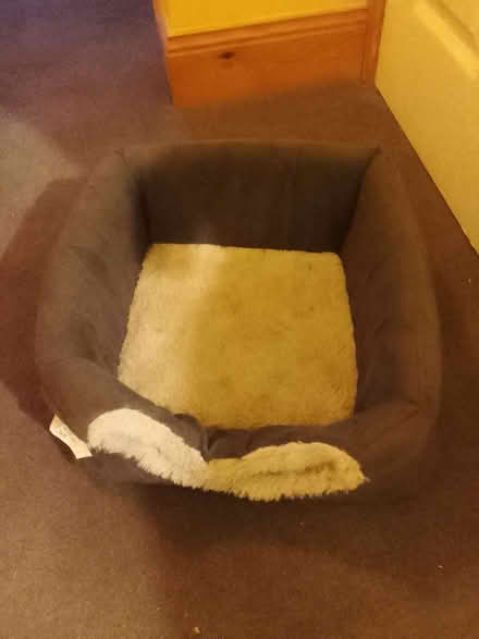 Photo of free Cosy cat house (Sherburn Hill DH6) #2