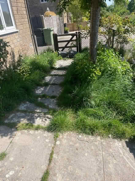 Photo of Lawnmower (Woodmancote GL7) #2