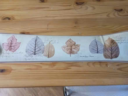 Photo of free Self adhesive wall border (GU51) #1