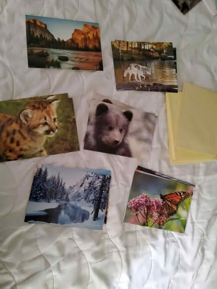 Photo of free 15 blank cards and envelopes (Clearwater 33763) #1
