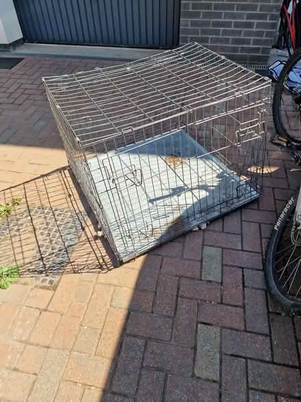 Photo of free Large dog crate (Cranbrook, Exeter EX5) #2