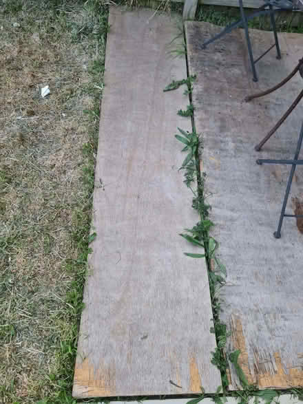 Photo of free Fire wood old wood large (Reddish SK5) #2