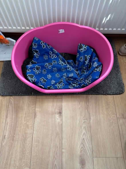 Photo of free Dog bed and carrier (DY8 Wordsley) #2