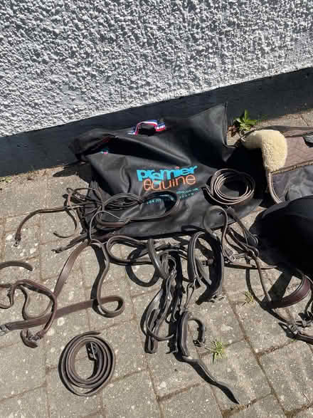 Photo of free Horse riding tack. (Bognor Regis PO21) #1
