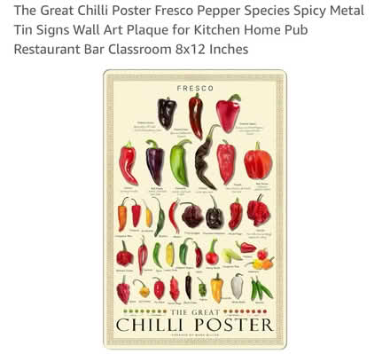 Photo of free Metal chilli poster (Somerset, NJ) #1