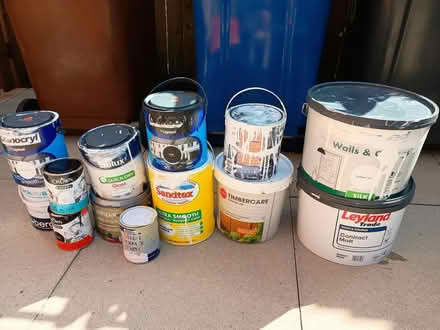 Photo of free Paint (Cherry Tree BB2) #1