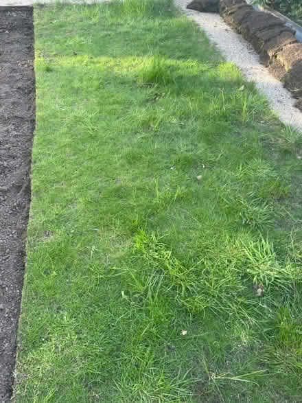 Photo of free Turf (Lytham St Anne’s, FY8) #2