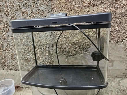 Photo of free 2 SEATER SOFAS, 3 SEATER SOFAS, and AQUARIUM (Stratford E15) #2