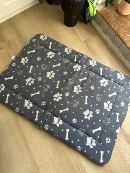 Photo of free Dog bed (Leyton) #1
