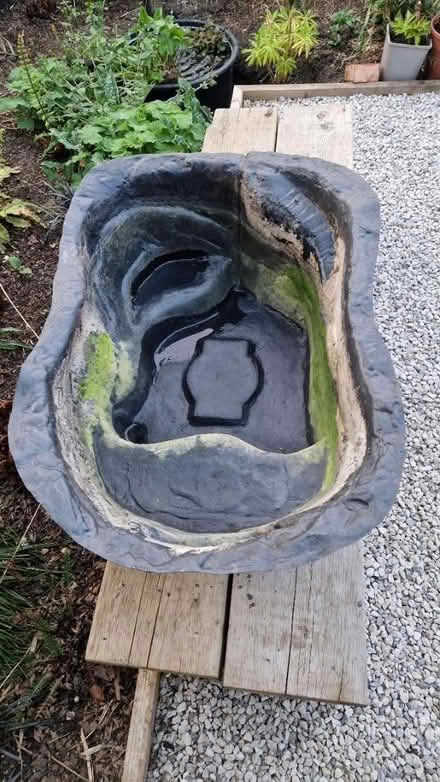 Photo of free Mini pond (KT3 - Motspur Park) #1