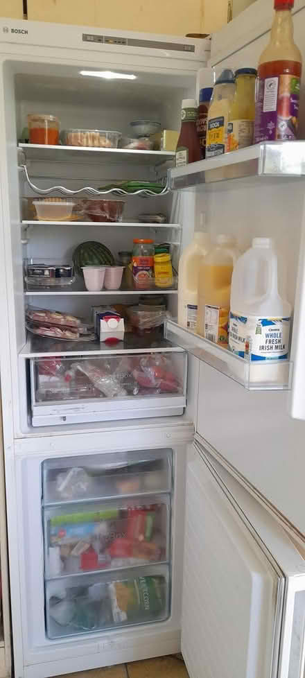 Photo of free Bosch Fridge Freezer (Gorey, Co. Wexford) #2