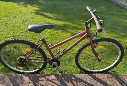 Photo of free Girl's bicycle (Hove Station area BN3) #1