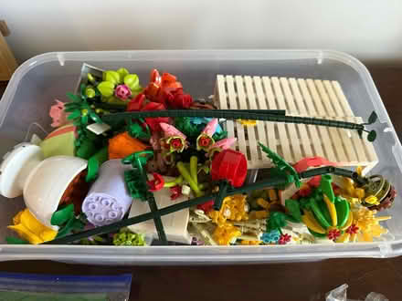 Photo of free Mini building blocks (Burlington near Woburn line) #1