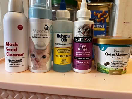 Photo of free Cat care items (Olympia high school) #1