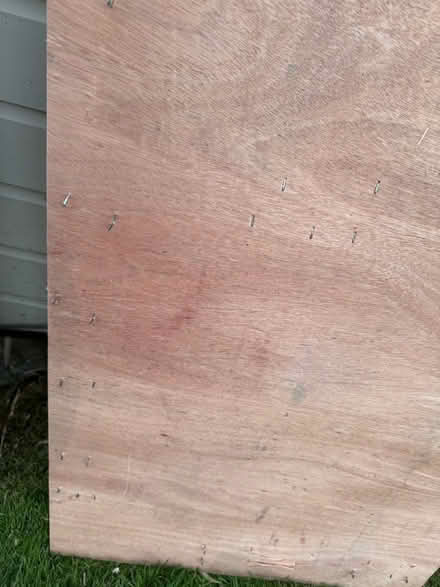 Photo of free 9mm thick ply (Welling DA16) #4