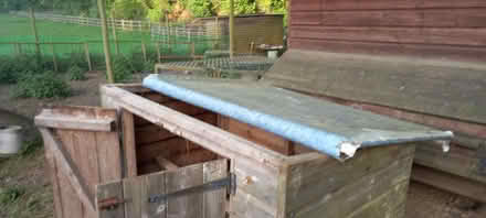 Photo of free Chicken/Duck House. (Pant SY10) #3