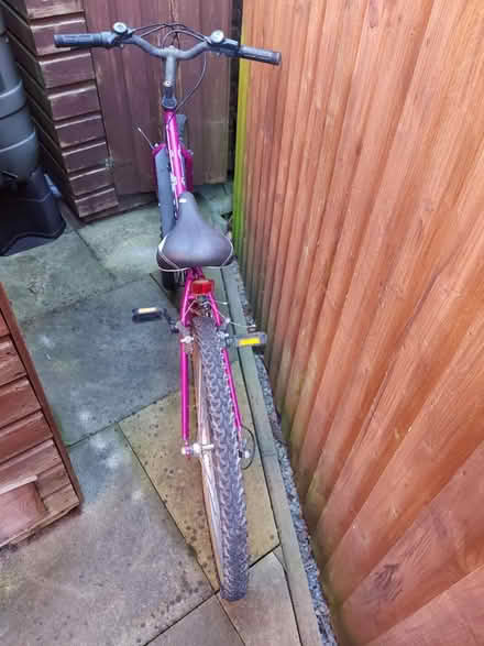 Photo of free Girl's bike (Hereford, Belmont) #2