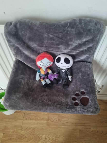 Photo of free Cat bed (St Athan CF62) #2