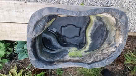 Photo of free Mini pond (KT3 - Motspur Park) #2