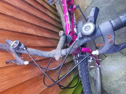 Photo of free Girl's bike (Hereford, Belmont) #1