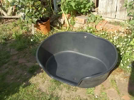 Photo of free Large plastic dog bed (Cainscross GL5) #2