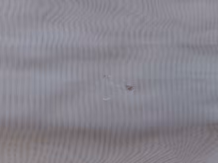 Photo of free Two used Net Curtains. (Croham CR2) #3