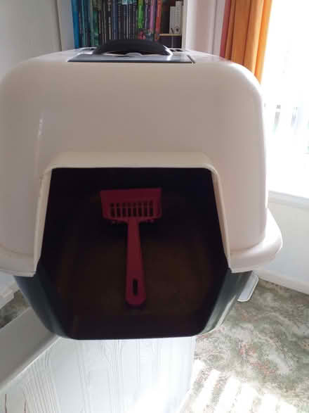 Photo of free Cat litter tray (AB10) #1