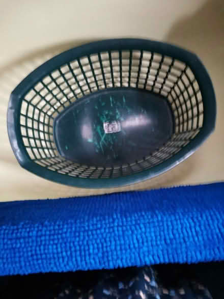 Photo of free Wash basket (Rubery) #2