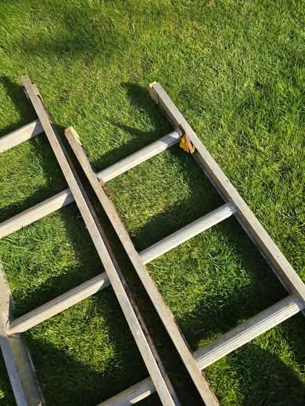Photo of free 2 x 3.5metre ladders (LU6) #4