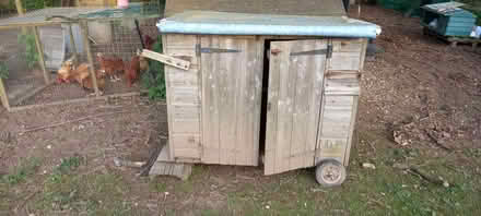Photo of free Chicken/Duck House. (Pant SY10) #4