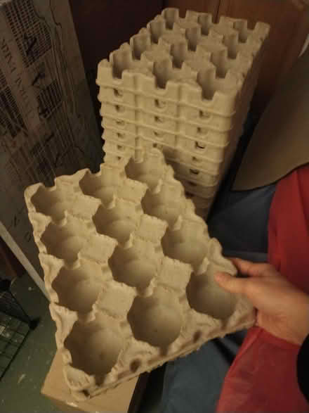 Photo of free Cardboard Trays -Great seedstarters (Winchester) #1