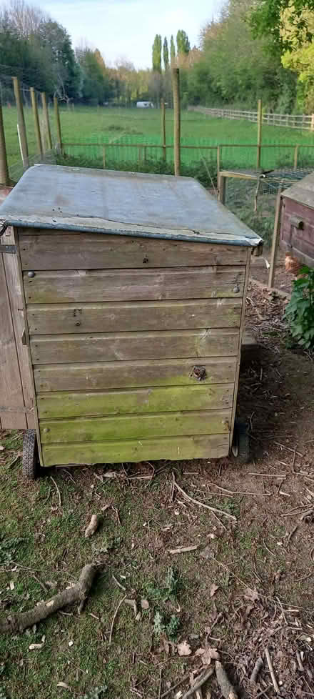 Photo of free Chicken/Duck House. (Pant SY10) #2