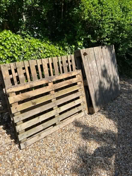 Photo of free Wooden Pallets (Chantry, Frome BA11) #1