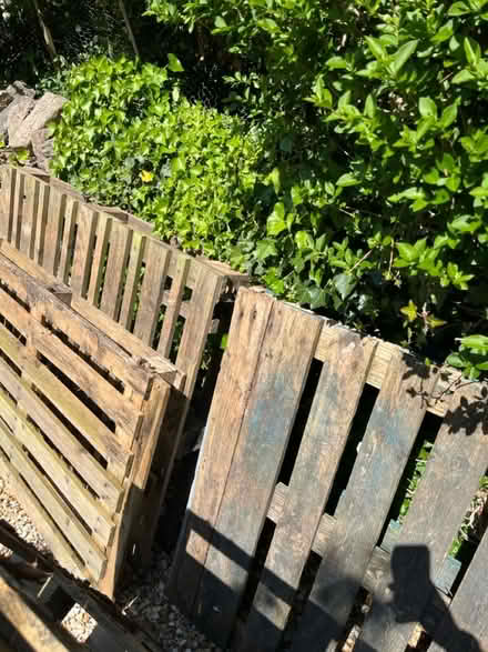 Photo of free Wooden Pallets (Chantry, Frome BA11) #2