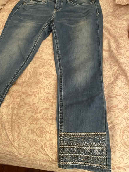 Photo of free a.n.a jeans EMBROIDERED (Bloomfield) #1