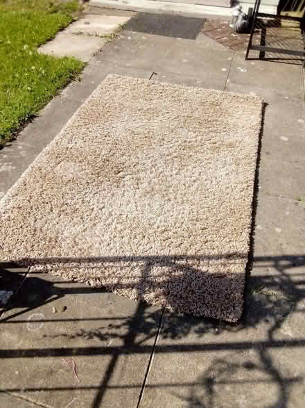 Photo of free Medium size rug beige (Fearnhead WA2) #3