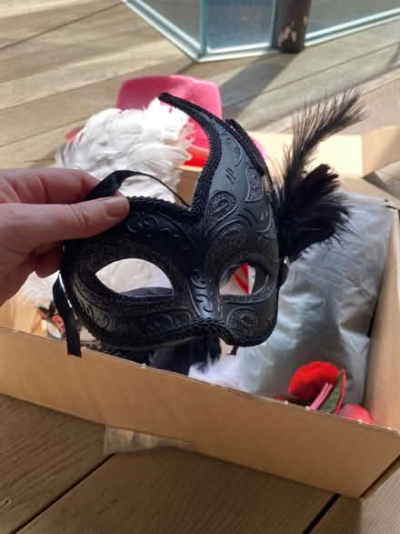 Photo of free Assorted Fancy dress items (Hackney Wick E3) #1