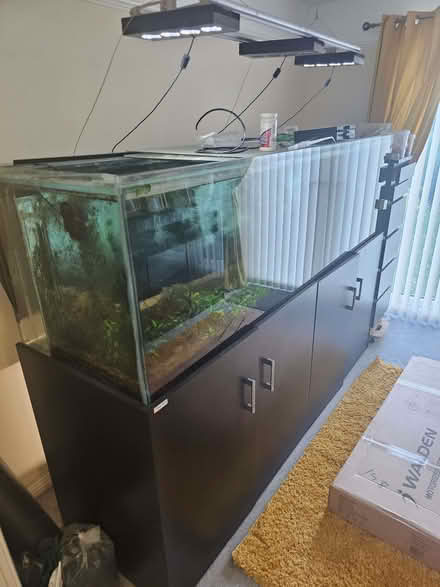 Photo of free Large fish tank (Middlewich CW10) #1