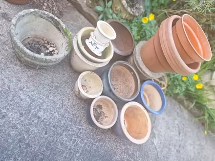 Photo of free Garden pots (Forestgreen) #1